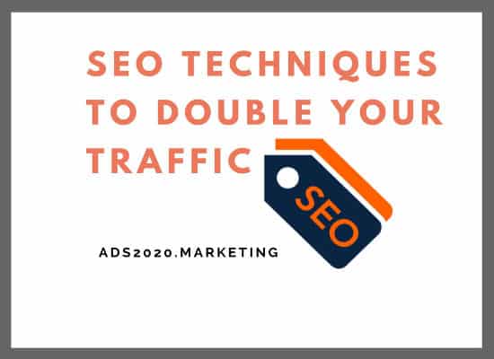 SEO Tips Techniques to Double your Website Traffic-550x400